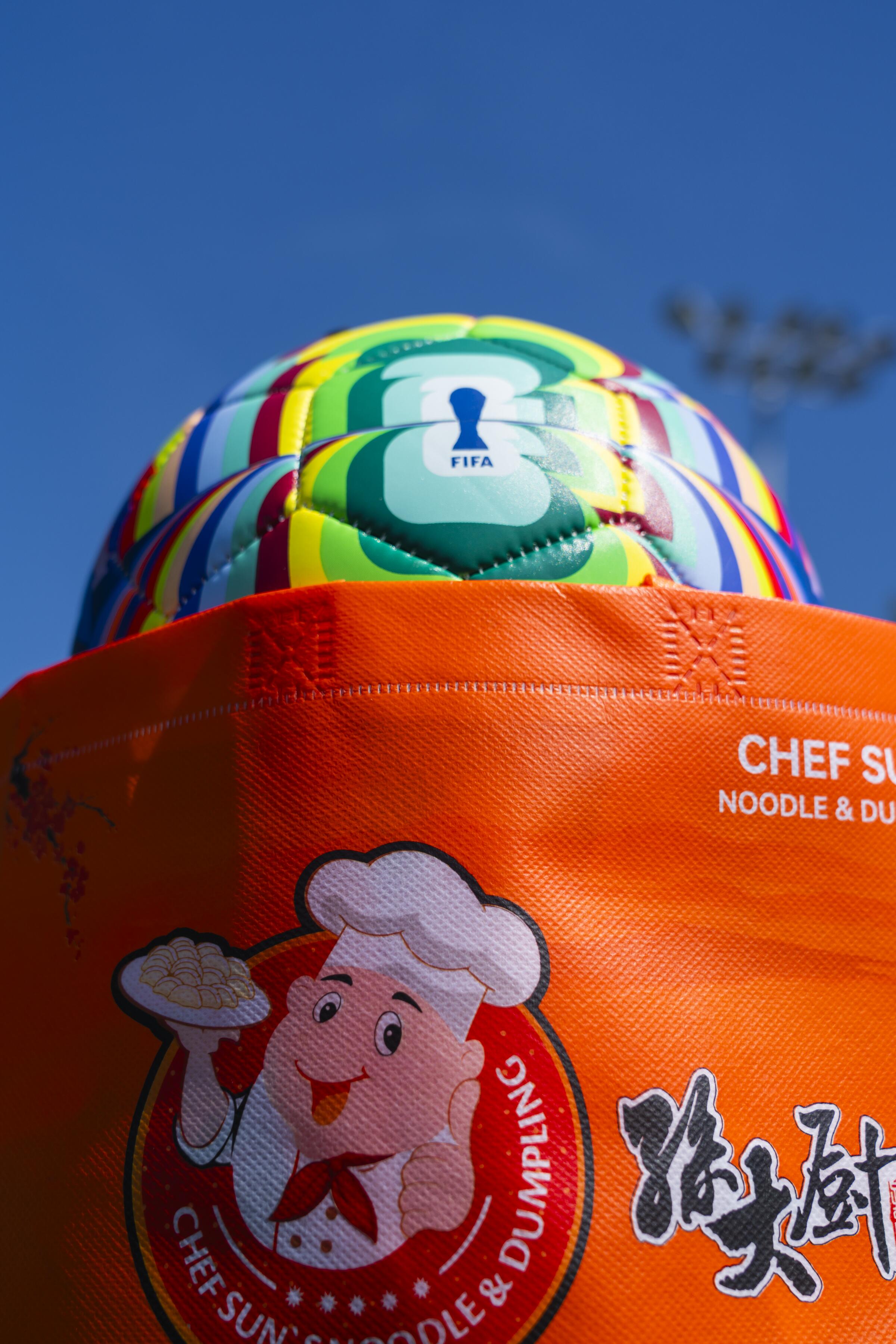 World Cup campaign